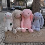 عروسک خرگوش اورجینال جیلی کت