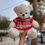 عروسک خرس خارجی لباسدار