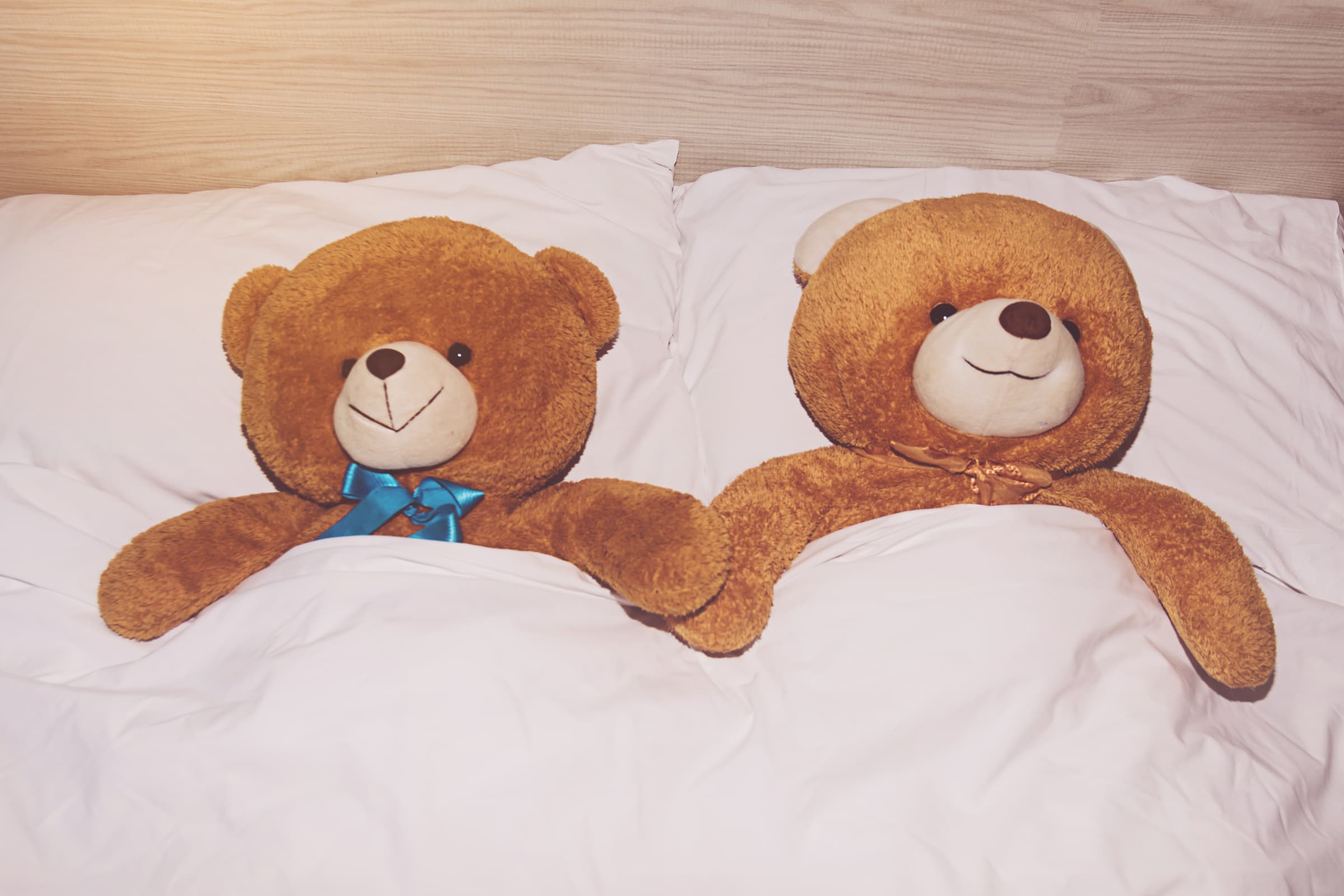 عروسک خرس پولیشی برای کودکان آلرژیک