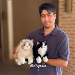 عروسک گربه طبیعی خوابیده 40 سانتی