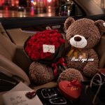 عروسک خرس رزی سینه خرسی 3 رنگ